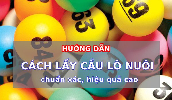 Hướng dẫn cách lấy cầu lô chuẩn xác, hiệu quả